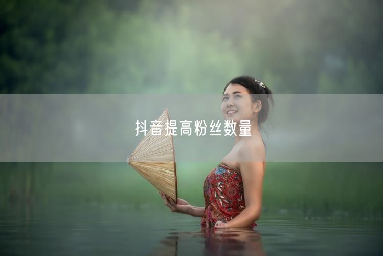 抖音提高粉丝数量