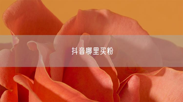 抖音哪里买粉