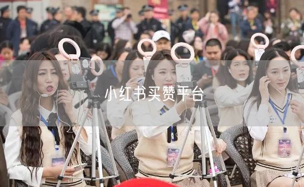 小红书买赞平台