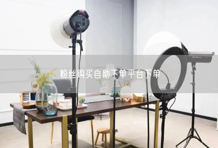 粉丝购买自助下单平台下单
