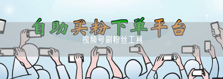 视频号刷粉丝工具