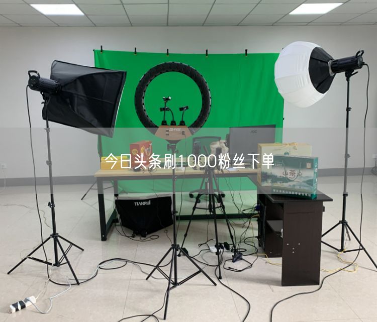 今日头条刷1000粉丝下单