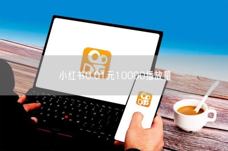 小红书0.01元10000播放量