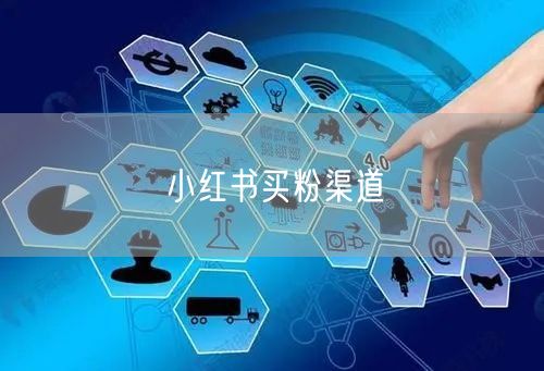 小红书买粉渠道
