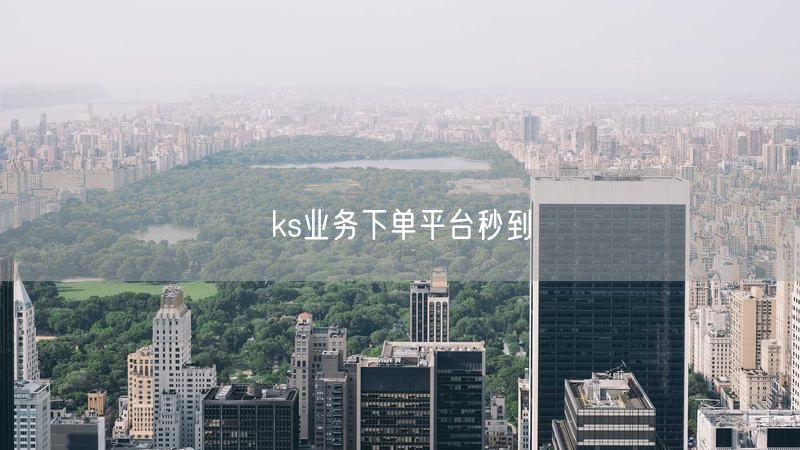 ks业务下单平台秒到