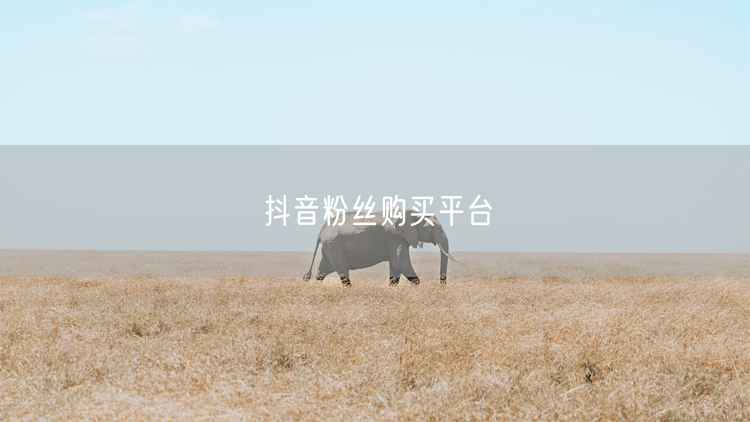 抖音粉丝购买平台揭秘：涨粉技巧与买粉避坑实操指南