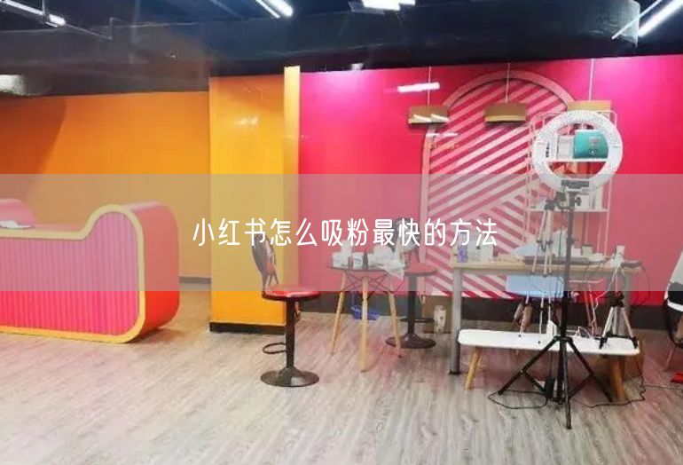 小红书吸粉秘籍：实操经验+高效涨粉策略