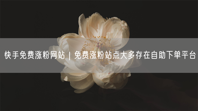 快手免费涨粉网站揭秘：自助下单平台与涨粉实操指南