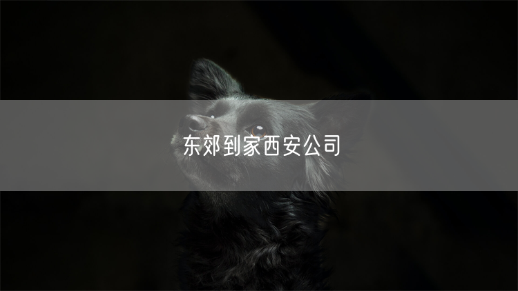东郊到家西安公司