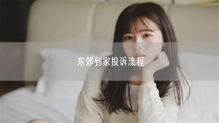 东郊到家投诉全攻略：流程、渠道及高效投诉技巧