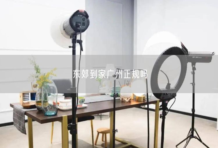 东郊到家广州正规性揭秘：实操经验与健康服务全解析