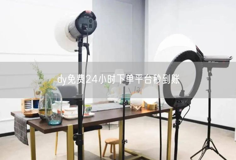 dy免费24小时下单平台秒到账