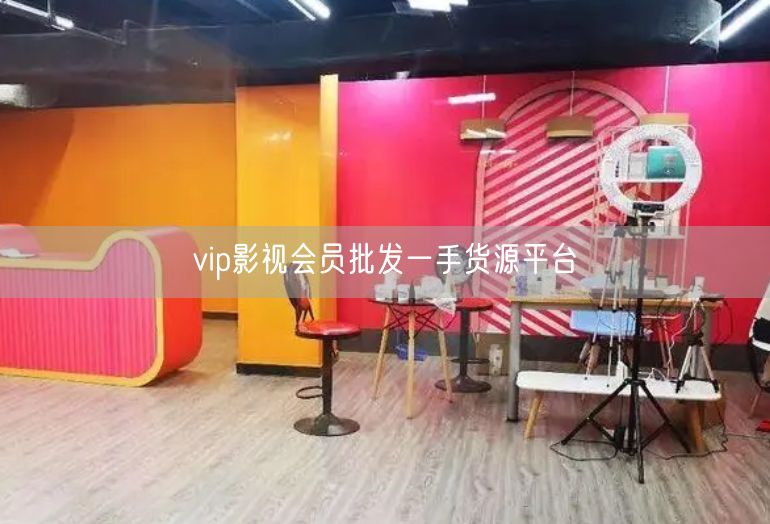 vip影视会员批发一手货源平台