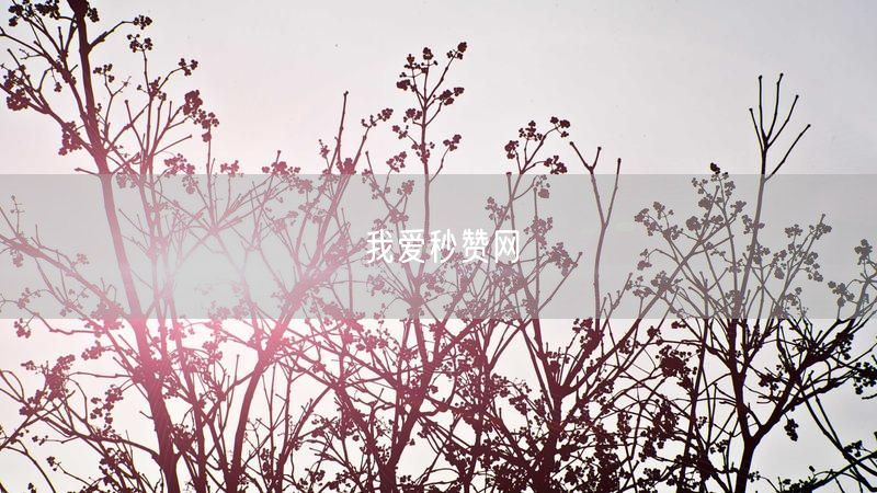 我爱秒赞网